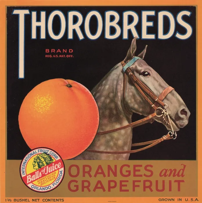 Framed Print : Thorobreds Brand