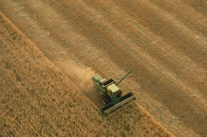 Framed Print : Thrasher Moves Through Wheat Field Framed Print : Thrasher Moves Through Wheat Field