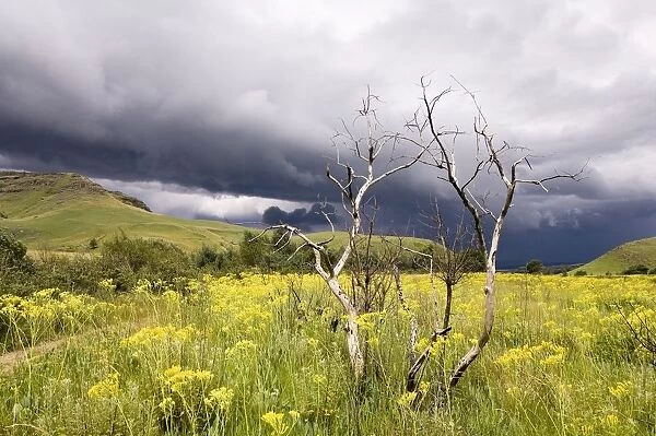 A Thunderstorm Brewing in the Drakensberg Mountains