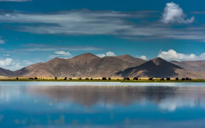 Framed Print : Tibetan landscape Framed Print : Tibetan landscape
