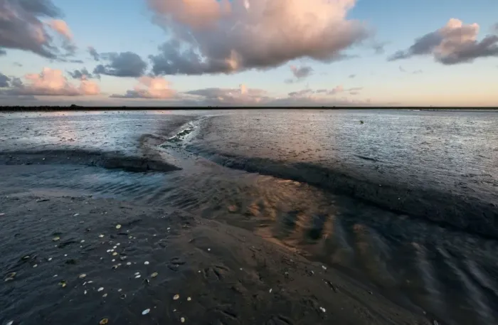 Framed Print : Tidal stream in muddy flats of the Waddenzee Framed Print : Tidal stream in muddy flats of the Waddenzee