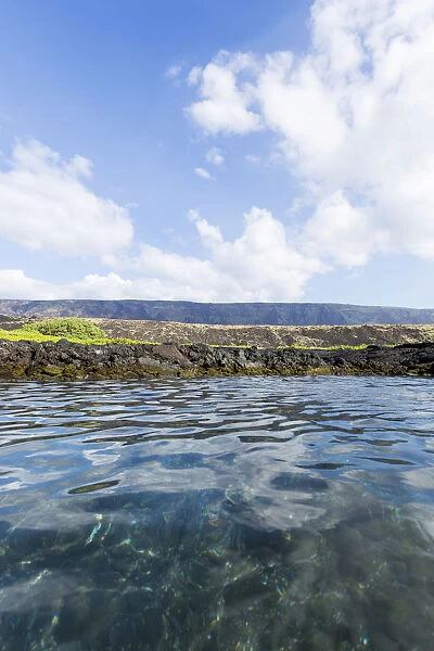 Tide pool on shore, Hawaii Volcanoes National Park, Hawaii, USA