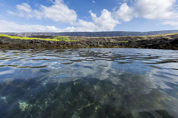 Tide pool on shore, Hawaii Volcanoes National Park, Hawaii, USA