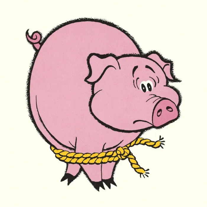 Framed Print : Tied Up Pig Framed Print : Tied Up Pig