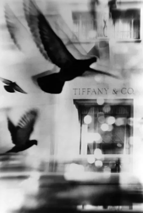 Framed Print : Tiffany's. NEW YORK - 1957: A montage of pigeons in front of Tiffany