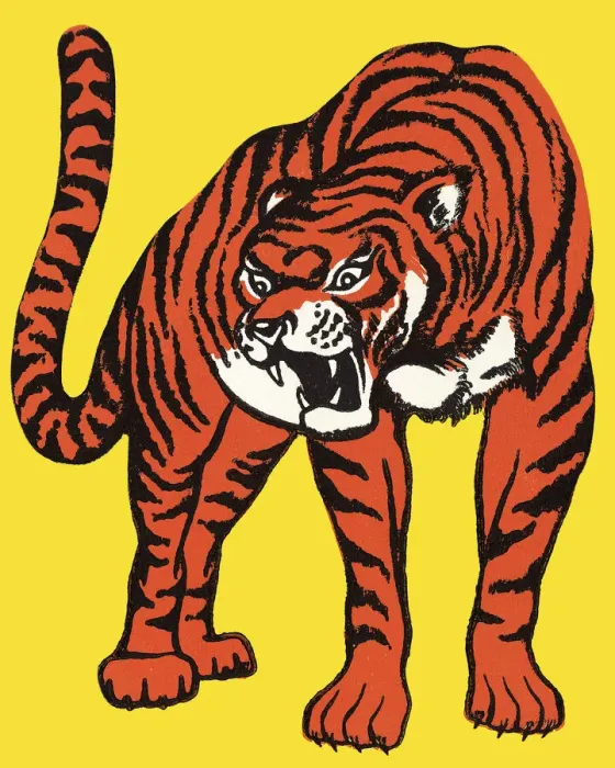 Framed Print : Tiger Framed Print : Tiger