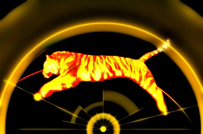 Framed Print : Tiger Jumping Framed Print : Tiger Jumping