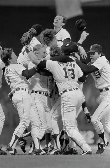 Framed Print : Tiger Teammates Celebrating Victory Framed Print : Tiger Teammates Celebrating Victory