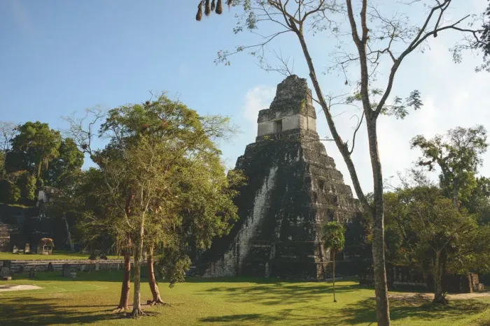 Framed Print : Tikal ruins Framed Print : Tikal ruins
