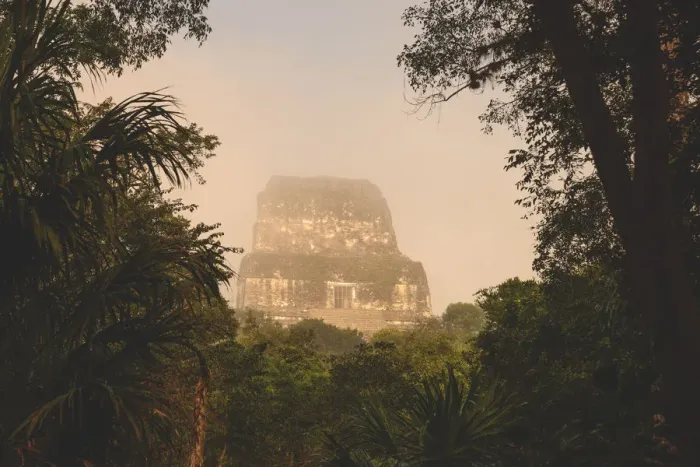 Framed Print : Tikal through the trees Framed Print : Tikal through the trees