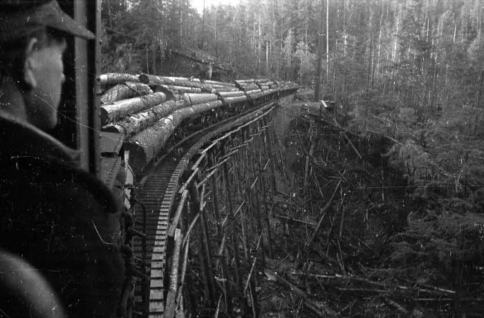 Framed Print : Timber Train Framed Print : Timber Train