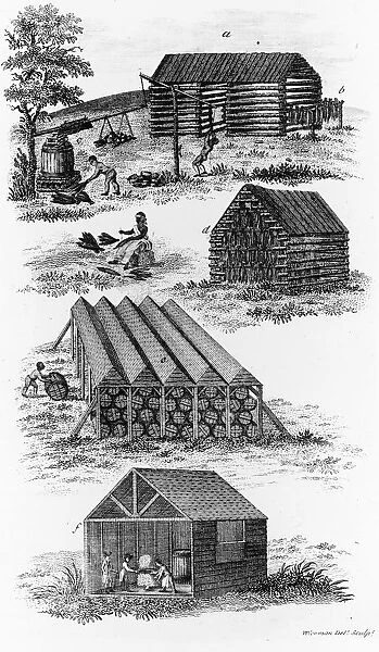 Tobacco. An Engraving of Workers Curing and Drying Tobacco circa 1760