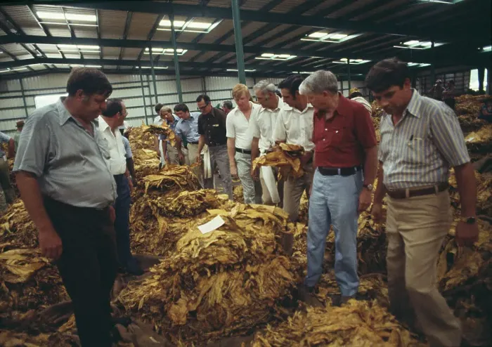 Framed Print : Tobacco Auction Framed Print : Tobacco Auction