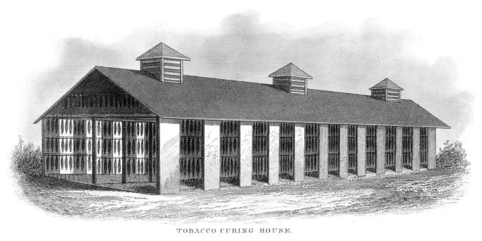 Framed Print : Tobacco curing house engraving 1873 Framed Print : Tobacco curing house engraving 1873