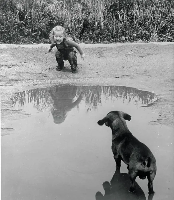 Framed Print : Toddler Playing with Dog Framed Print : Toddler Playing with Dog