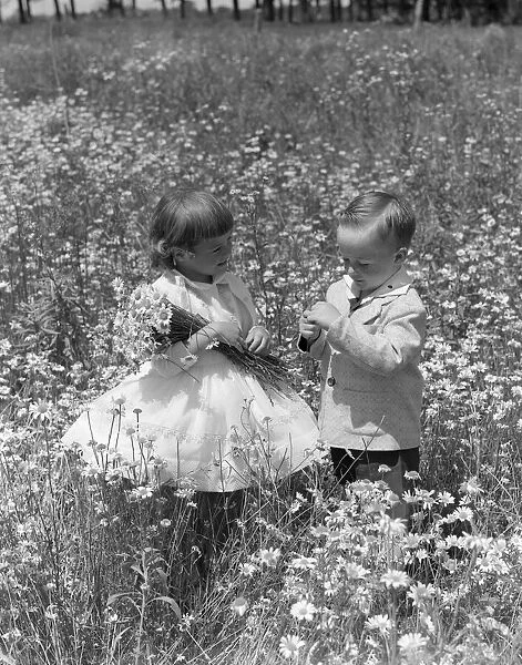 Toddlers In Field Of Daisies. They Wear Fancy Clothes Dress And Suit