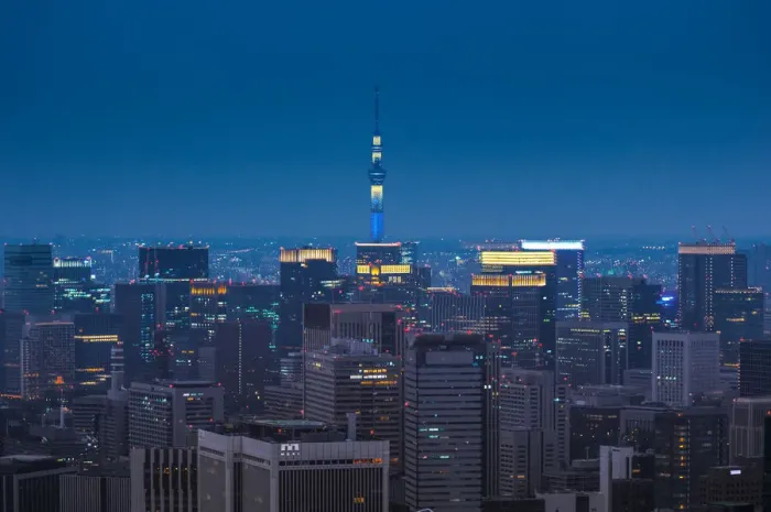 Framed Print : Tokyo Skyline Framed Print : Tokyo Skyline