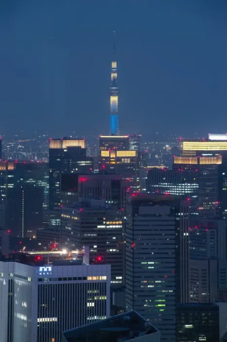 Framed Print : Tokyo skytree at night from Roppongi hill Framed Print : Tokyo skytree at night from Roppongi hill