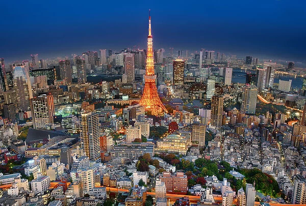 Tokyo Tower Centrepiece