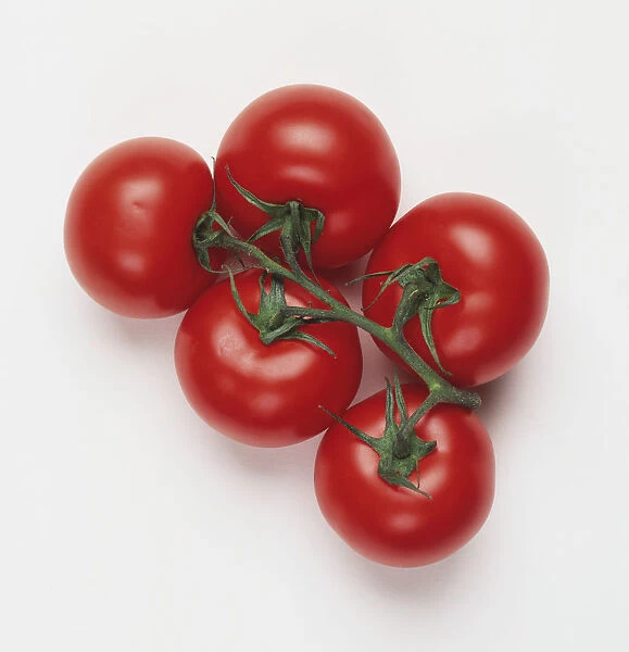 Five tomatoes on the vine, view from above