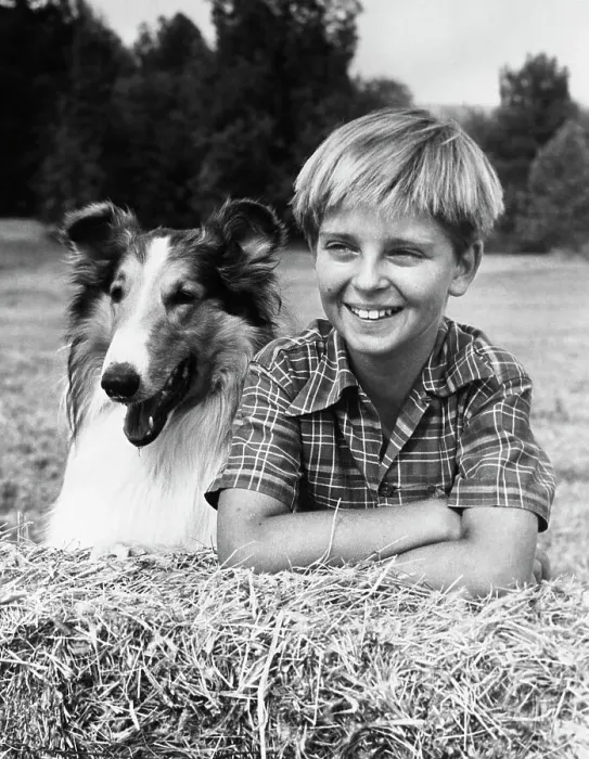  : Tommy Rettig with Lassie
