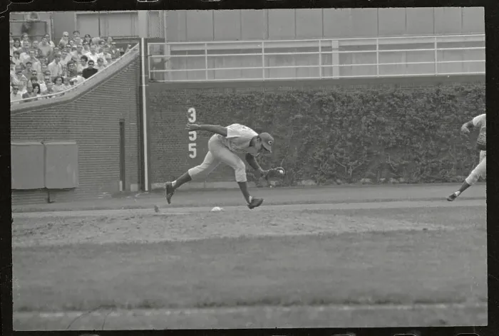 Framed Print : Tony Perez Reaching for Down for Baseball Framed Print : Tony Perez Reaching for Down for Baseball