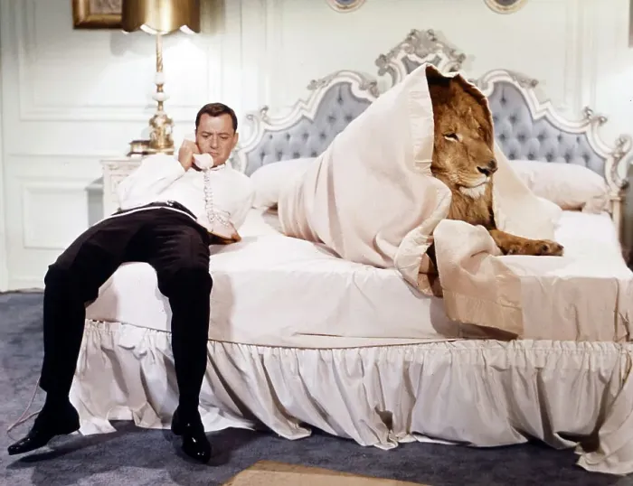 Framed Print : Tony Randall In Fluffy Framed Print : Tony Randall In Fluffy