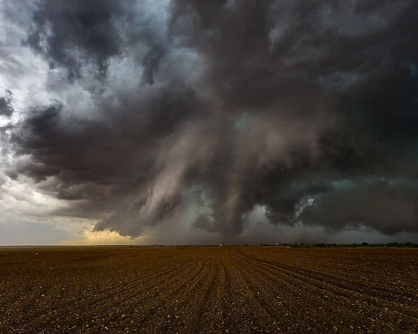 Tornado over farmland near Patricia, Texas
