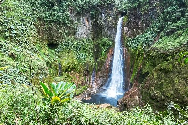 Toro waterfalls in the green tropical forest of Costa Rica