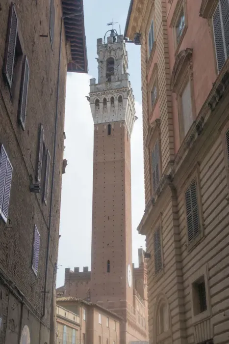 Framed Print : Torre del Mangia, Siena, Italy Framed Print : Torre del Mangia, Siena, Italy
