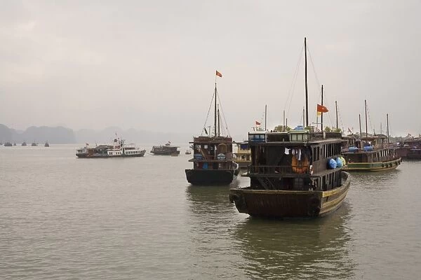 Tour boats in Vietnam under cloudy sky