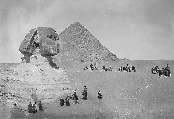 Tourists At Giza