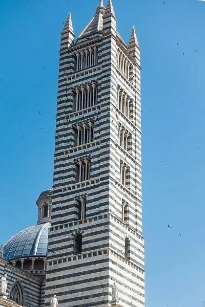 Tower, Duomo di Siena