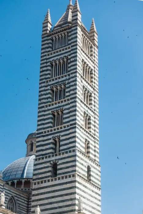 Framed Print : Tower, Duomo di Siena Framed Print : Tower, Duomo di Siena
