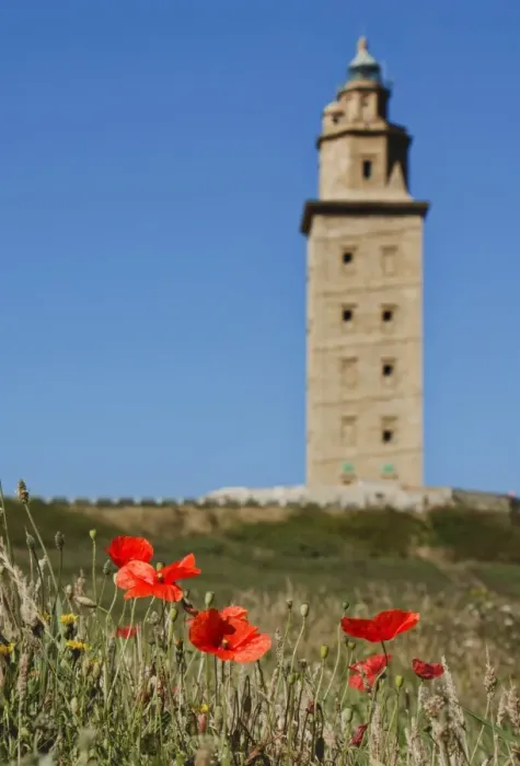 Framed Print : Tower of Hercules with poppies in foreground, A CoruAna (Galicia, Spain) Framed Print : Tower of Hercules with poppies in foreground, A CoruAna (Galicia, Spain)