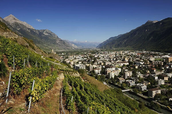 The town of Martigny, surrounded by vineyards, Martigny, Canton of Valais, Switzerland