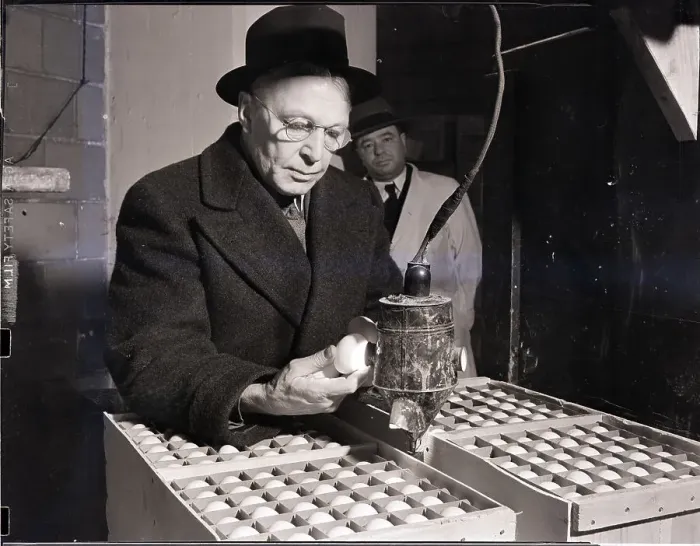 Framed Print : Trader Looking Over Egg Shipment
