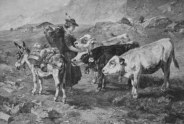 Trader on her tour with a donkey in the mountains, has come across three cows and is stroking them, Austria, 1878, Historic, digital reproduction of an original 19th century painting, original date unknown