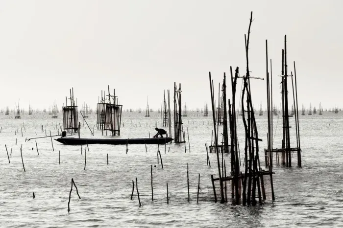 Framed Print : Traditinal fishing in southern of Thailand Framed Print : Traditinal fishing in southern of Thailand