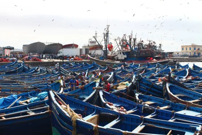 Framed Print : Traditional boats in Essaouira, on Atlantic coast of Morocco Framed Print : Traditional boats in Essaouira, on Atlantic coast of Morocco