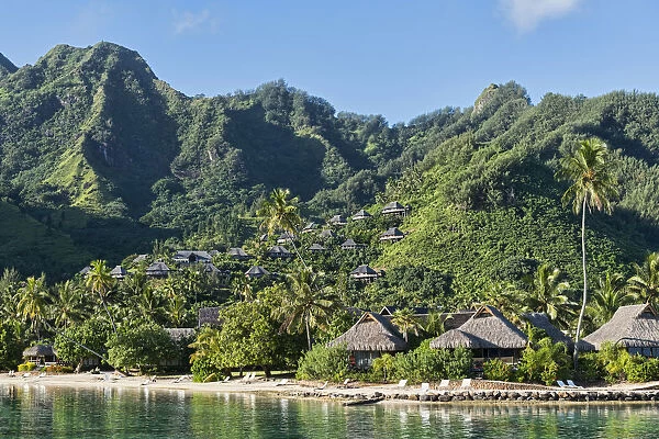 Traditional buildings on a hill, Moorea, French Polynesia