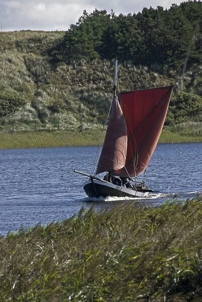 Traditional fishing boat with foresail and spritsail in the RinkAzA┼¥bing fjord at Nymindegab, West Jutland, Denmark, Europe