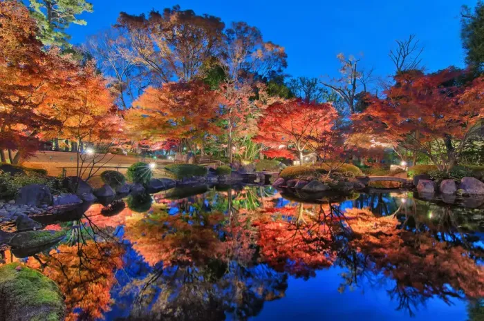 Framed Print : Traditional Japanese Garden Framed Print : Traditional Japanese Garden