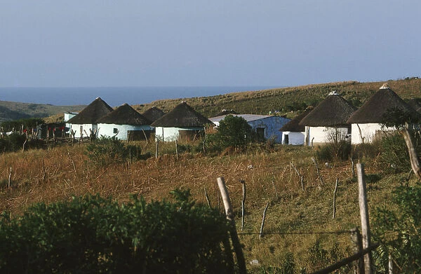 Traditional Thatch Homes (Rondawels) of Landilie