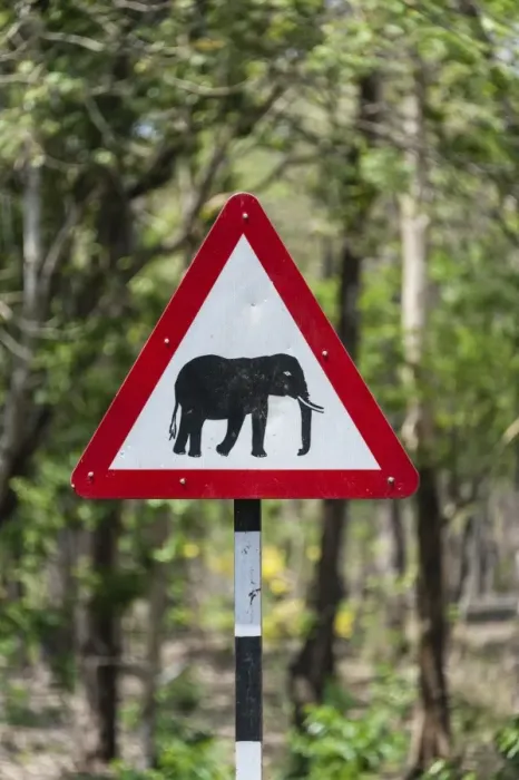 Framed Print : Traffic signs, warning of crossing elephants, Nagarhole National Park, Karnataka, India Framed Print : Traffic signs, warning of crossing elephants, Nagarhole National Park, Karnataka, India