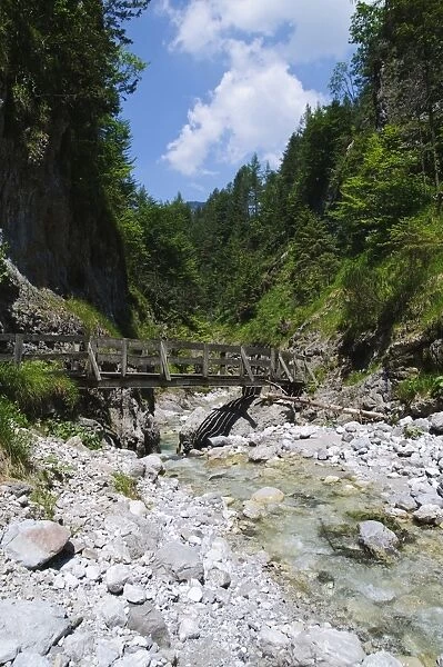 Trail in the Griessbachklamm gorge, Erpfendorf near St. Johann, Tyrol, Austria, Europe