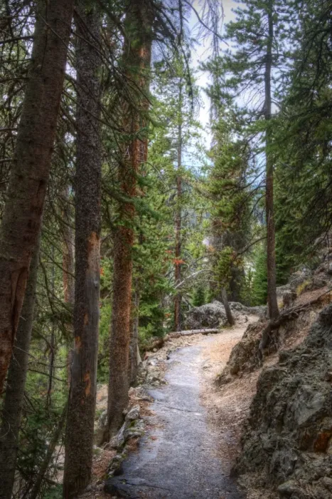 Framed Print : Trail, Yellowstone National Park Framed Print : Trail, Yellowstone National Park