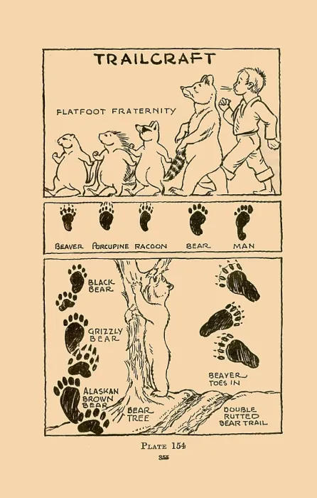 Framed Print : Trailcraft - Flatfoot