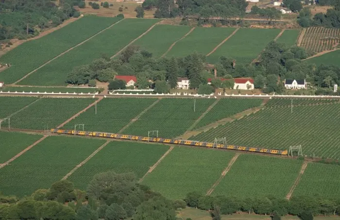 Framed Print : Train Traveling Through Vineyard Landscape - Aerial View Framed Print : Train Traveling Through Vineyard Landscape - Aerial View