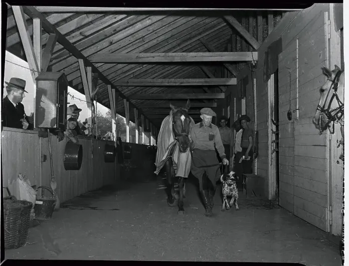 Framed Print : Trainer Leads Whirlaway to Stables Framed Print : Trainer Leads Whirlaway to Stables
